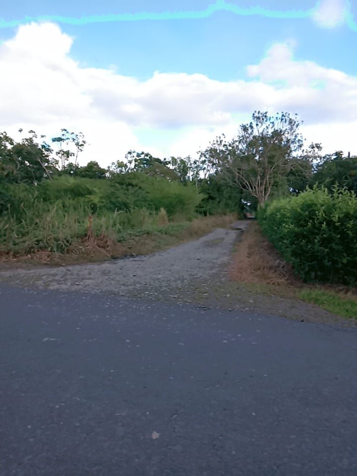 Finca en venta Meta Granada Granada 125000 m2 Habitaciones 3 Baños 1 Garajes 0 Precio $250000000