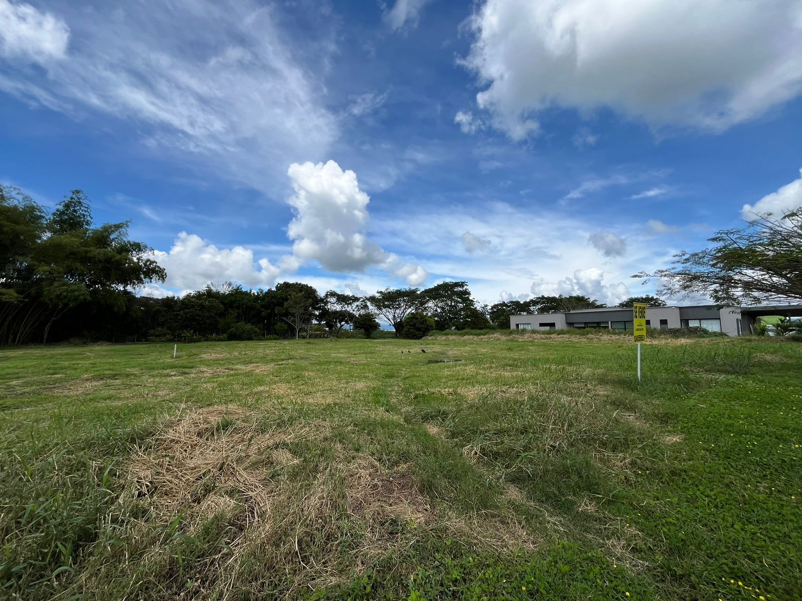 Lote en venta Risaralda Pereira Jardin De Velez Y Velez 2600 m2 Habitaciones 0 Baños 0 Garajes 0 Precio $900000000