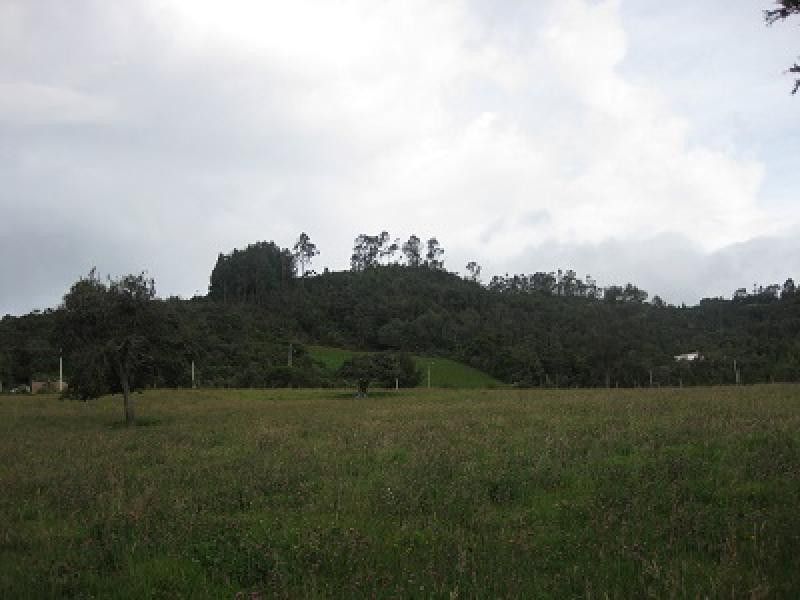 Lote en venta Cundinamarca Chía Chia 0 m2 Habitaciones 0 Baños 0 Garajes 0 Precio $2300000000