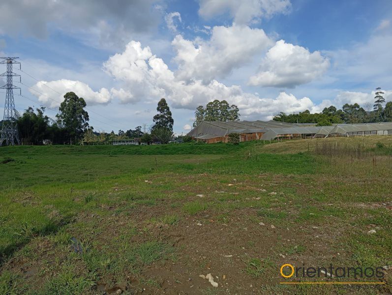 Lote en arriendo Antioquia La Ceja Ofir 5000 m2 Habitaciones 0 Baños 0 Garajes 0 Precio $8200000