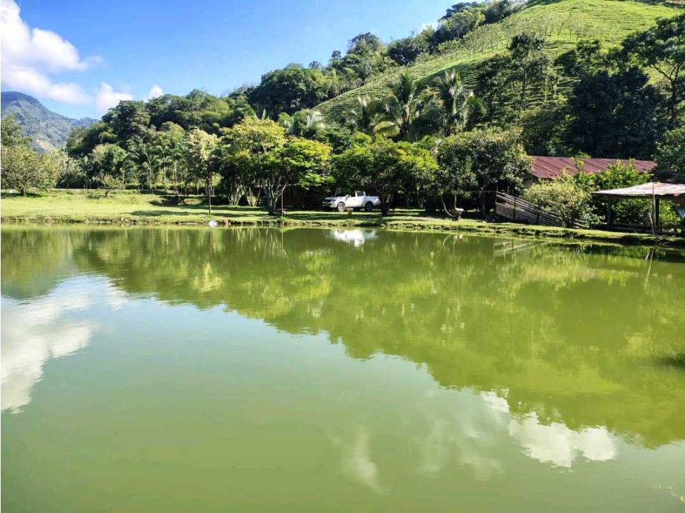 Finca en venta Risaralda Santuario Santuario 200 m2 Habitaciones 3 Baños 3 Garajes 0 Precio $1300000000