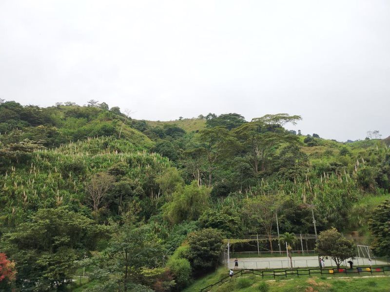 Apartamento en arriendo Antioquia Medellín Loma De Los Bernal 60 m2 Habitaciones 3 Baños 2 Garajes 1 Precio $2500000