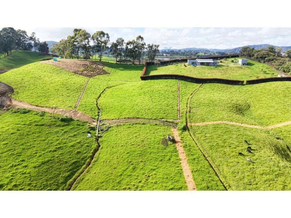 Lote en venta Antioquia La Unión La Unión 5000 m2 Habitaciones 0 Baños 0 Garajes 0 Precio $430000000