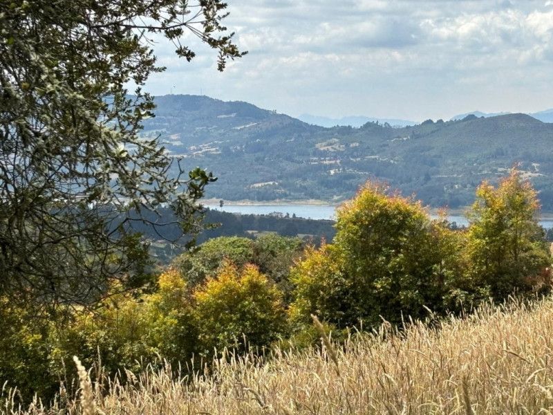 Lote en venta Cundinamarca Sesquilé Sesquile 0 m2 Habitaciones 0 Baños 0 Garajes 0 Precio $345000000