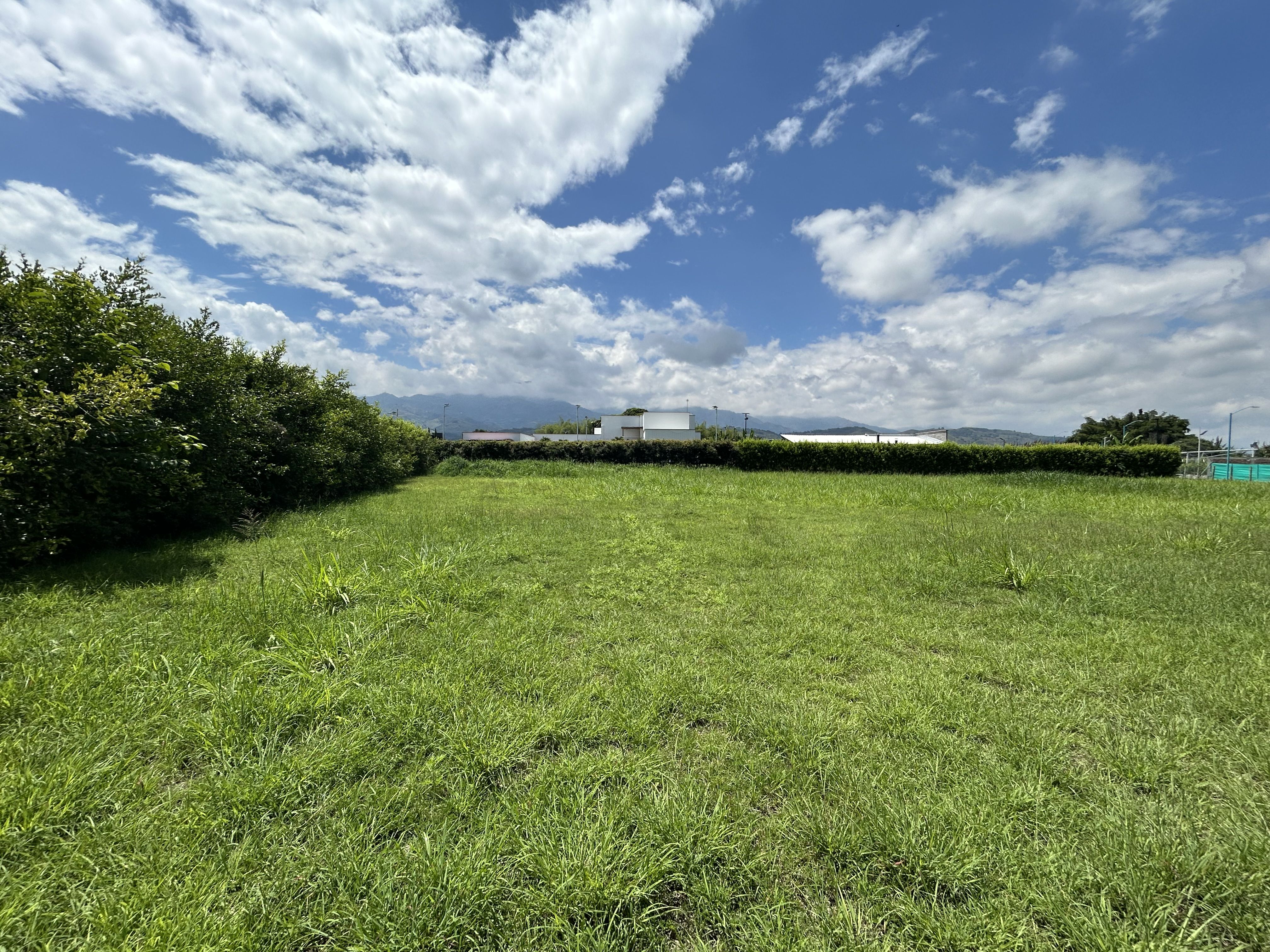 Lote en venta Valle Del Cauca Palmira Alfonso López 20 m2 Habitaciones 0 Baños 0 Garajes 0 Precio $500000000