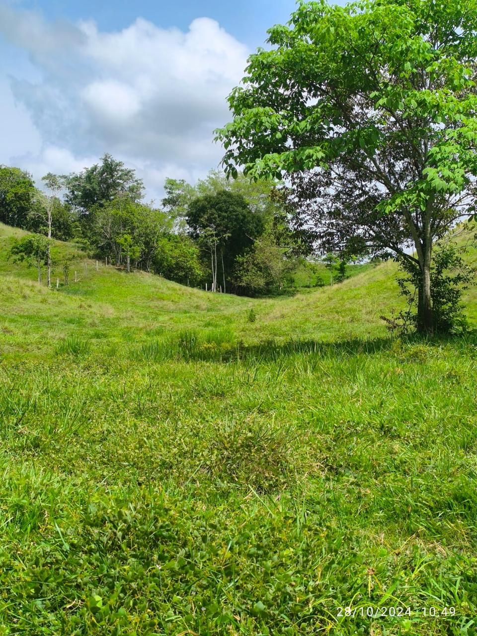 Finca en venta Boyacá Puerto Boyacá Centro 500 m2 Habitaciones 6 Baños 3 Garajes 3 Precio $1399000000