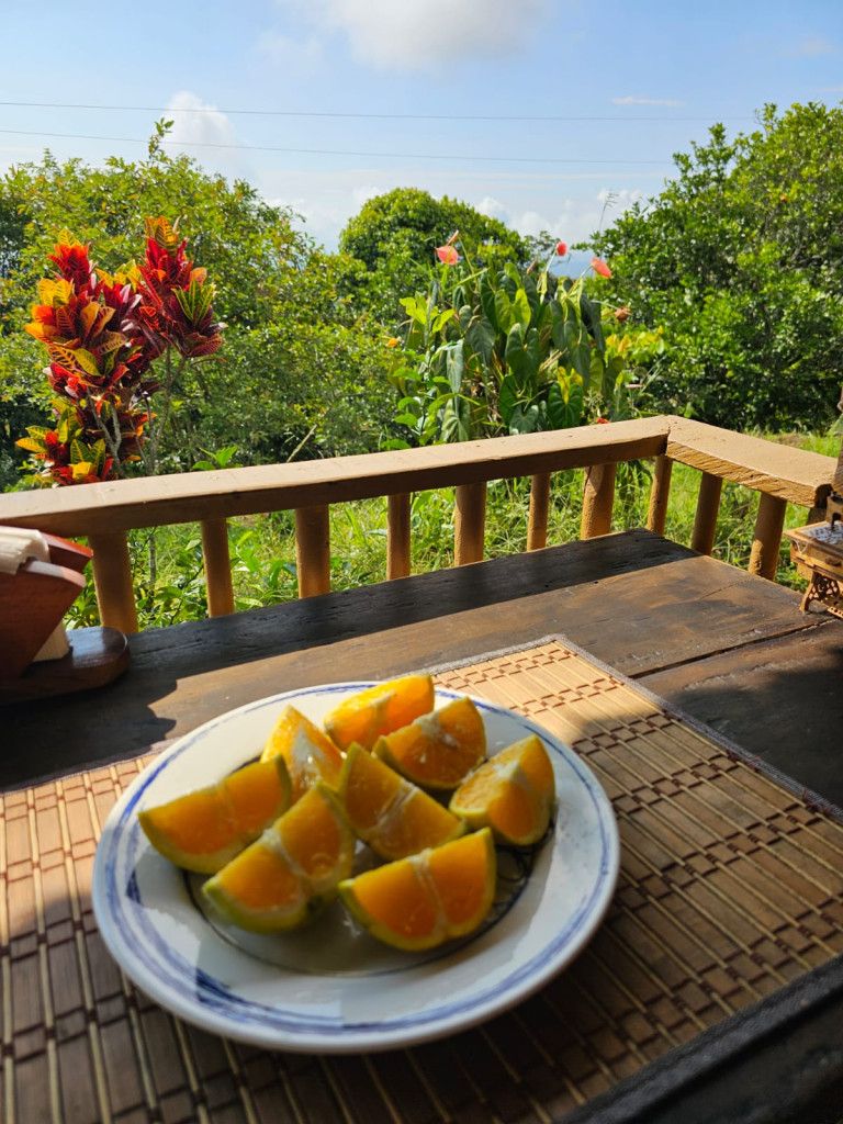 Finca en venta Valle Del Cauca Jamundí Jamundí 70 m2 Habitaciones 4 Baños 2 Garajes 0 Precio $130000000