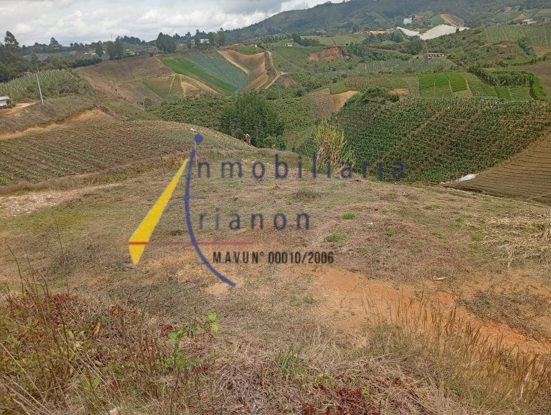 Lote en venta Antioquia El Santuario El Santuario 600 m2 Habitaciones 0 Baños 0 Garajes 0 Precio $250000000