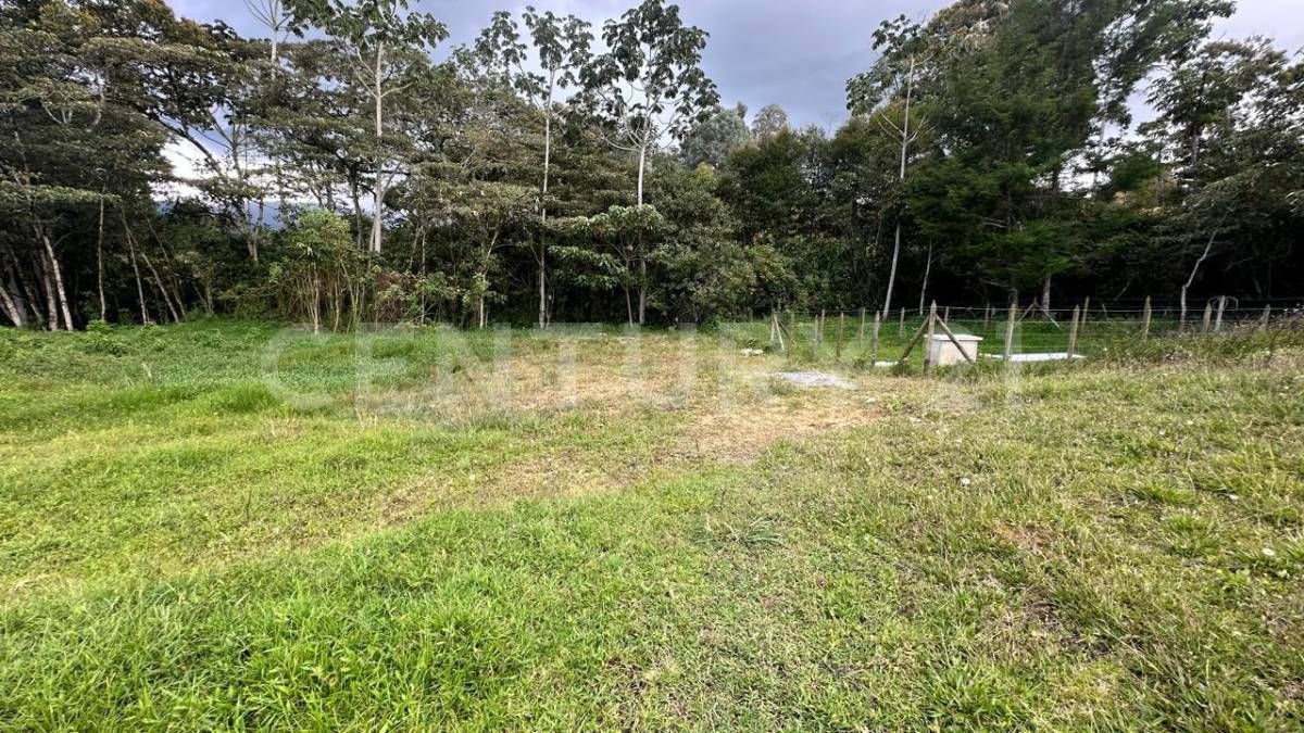Lote en venta Antioquia La Ceja Ofir 2077 m2 Habitaciones 0 Baños 1 Garajes 0 Precio $930000000
