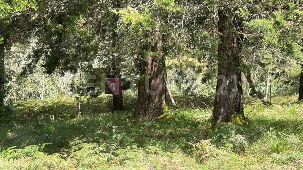 Lote en venta Antioquia Envigado Envigado 552 m2 Habitaciones 0 Baños 1 Garajes 0 Precio $780000000