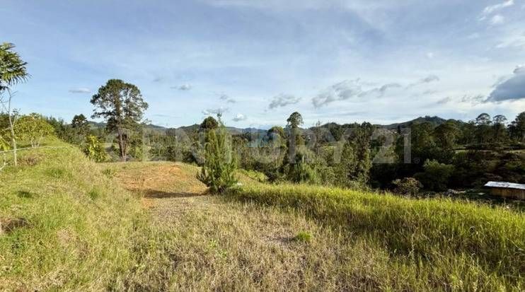 Lote en venta Antioquia El Retiro El Retiro 6277 m2 Habitaciones 0 Baños 0 Garajes 0 Precio $2197000000