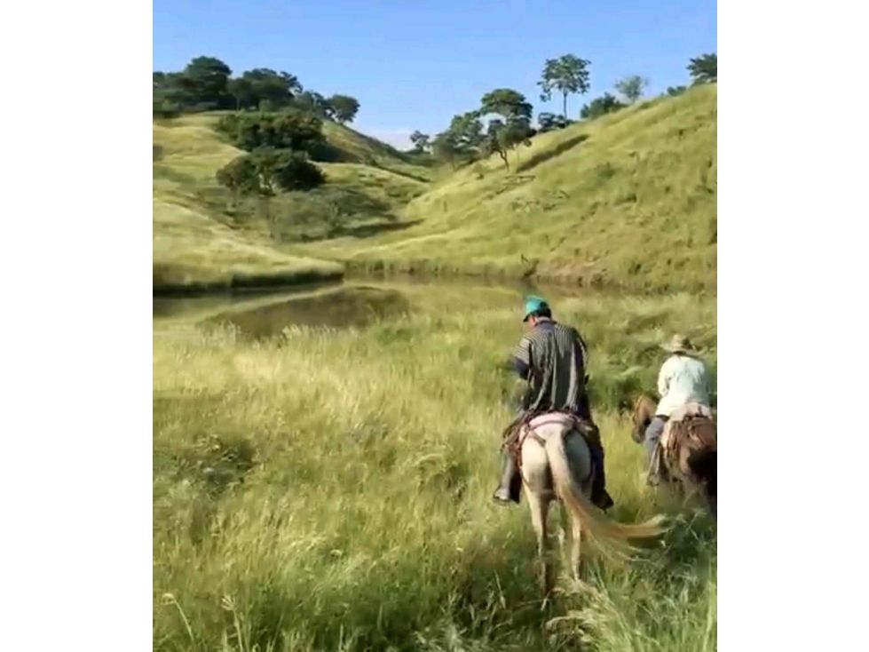 Finca en venta Cundinamarca Beltrán Beltrán 292 m2 Habitaciones 5 Baños 2 Garajes 10 Precio $5300000000