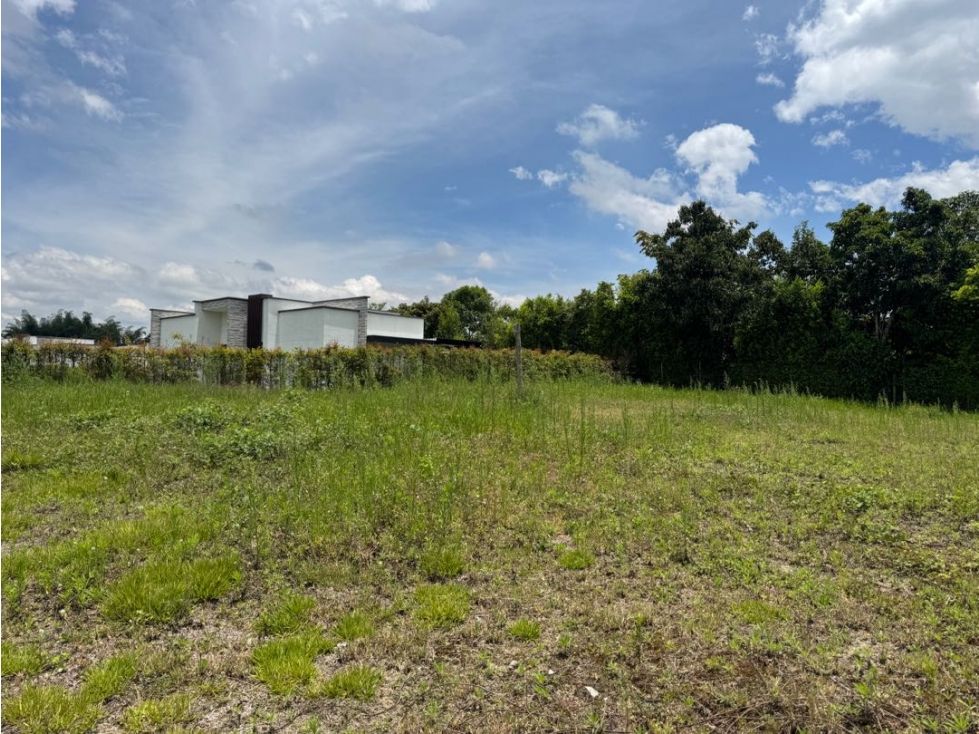 Lote en venta Quindío Calarcá Calarcá 1007 m2 Habitaciones 0 Baños 0 Garajes 0 Precio $380000000