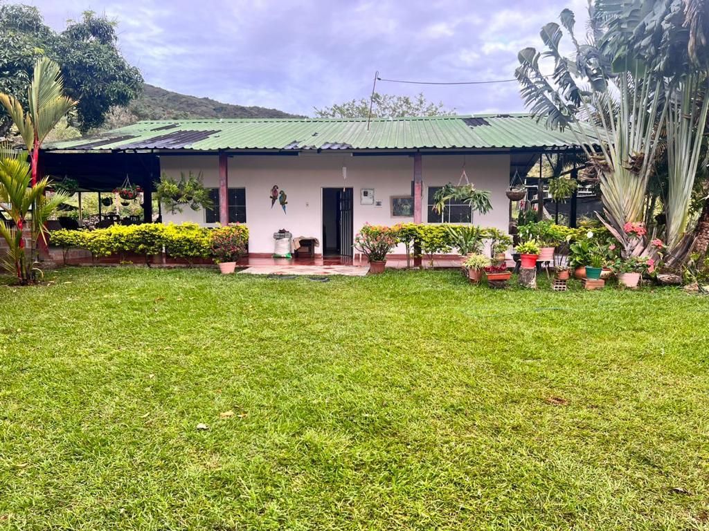 Finca en venta Huila Paicol Paicol 232 m2 Habitaciones 4 Baños 3 Garajes 2 Precio $650000000