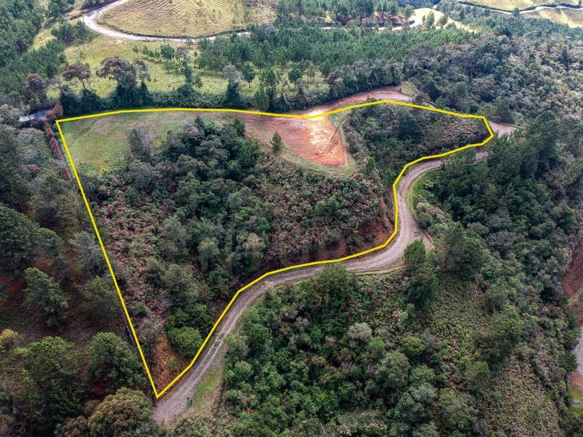 Lote en venta Antioquia Envigado Envigado 5016 m2 Habitaciones 0 Baños 0 Garajes 0 Precio $1800000000