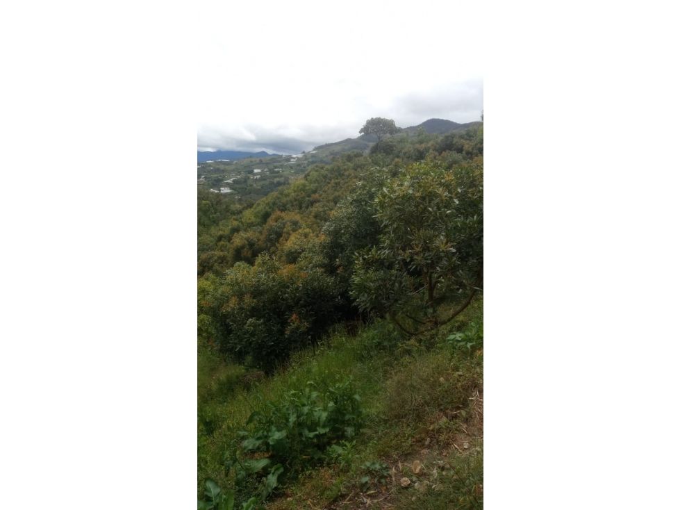 Lote en venta Antioquia Peñol Peñol 13206 m2 Habitaciones 0 Baños 0 Garajes 0 Precio $700000000