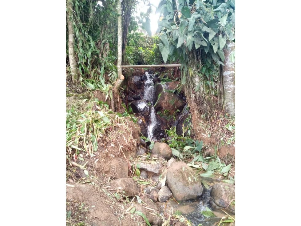 Lote en venta Antioquia Peñol Peñol 8363 m2 Habitaciones 0 Baños 0 Garajes 1 Precio $340000000