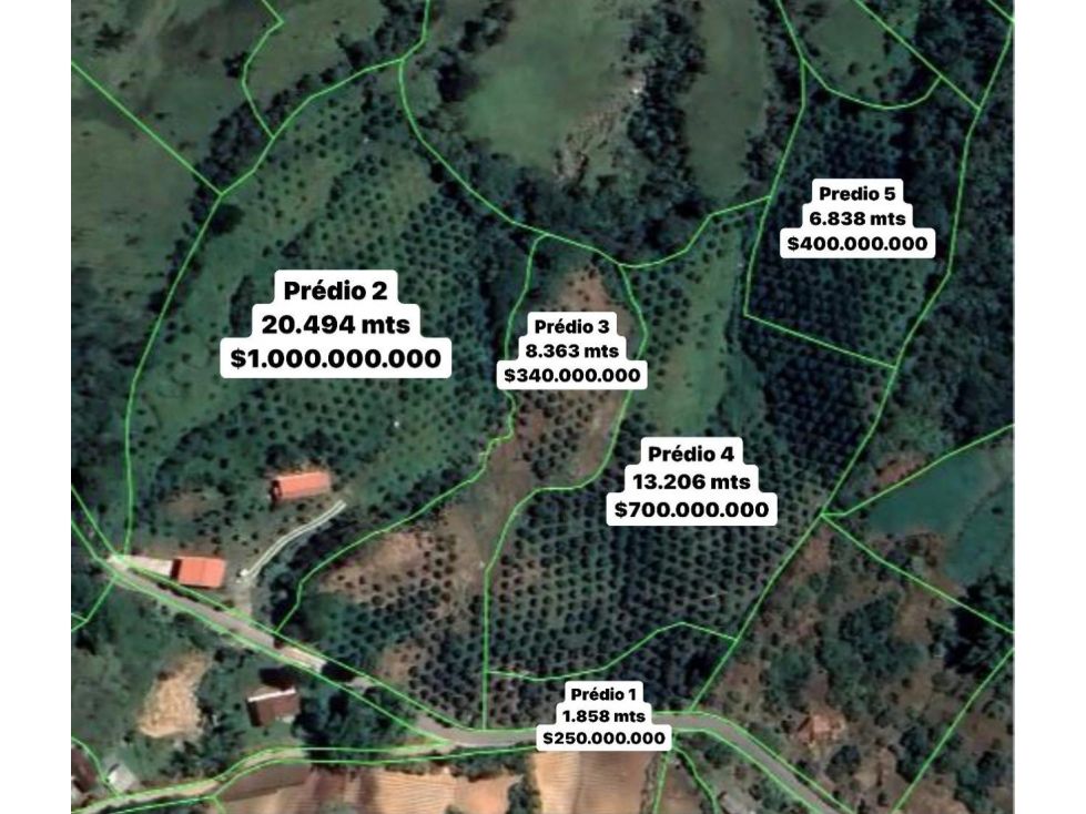 Lote en venta Antioquia Peñol Peñol 1858 m2 Habitaciones 0 Baños 0 Garajes 0 Precio $250000000