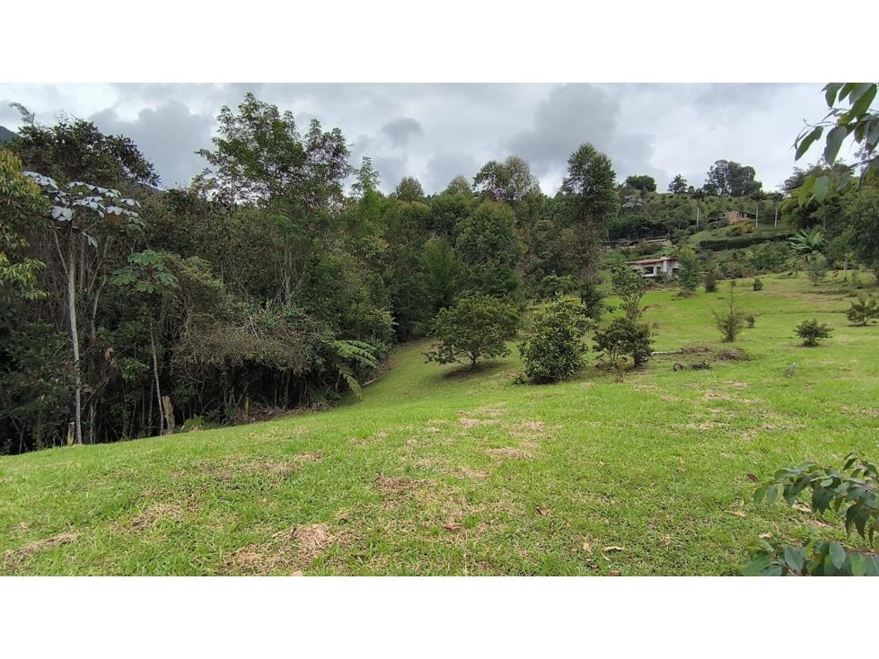 Lote en venta Antioquia Rionegro Rionegro 0 m2 Habitaciones 0 Baños 0 Garajes 1 Precio $1300000000