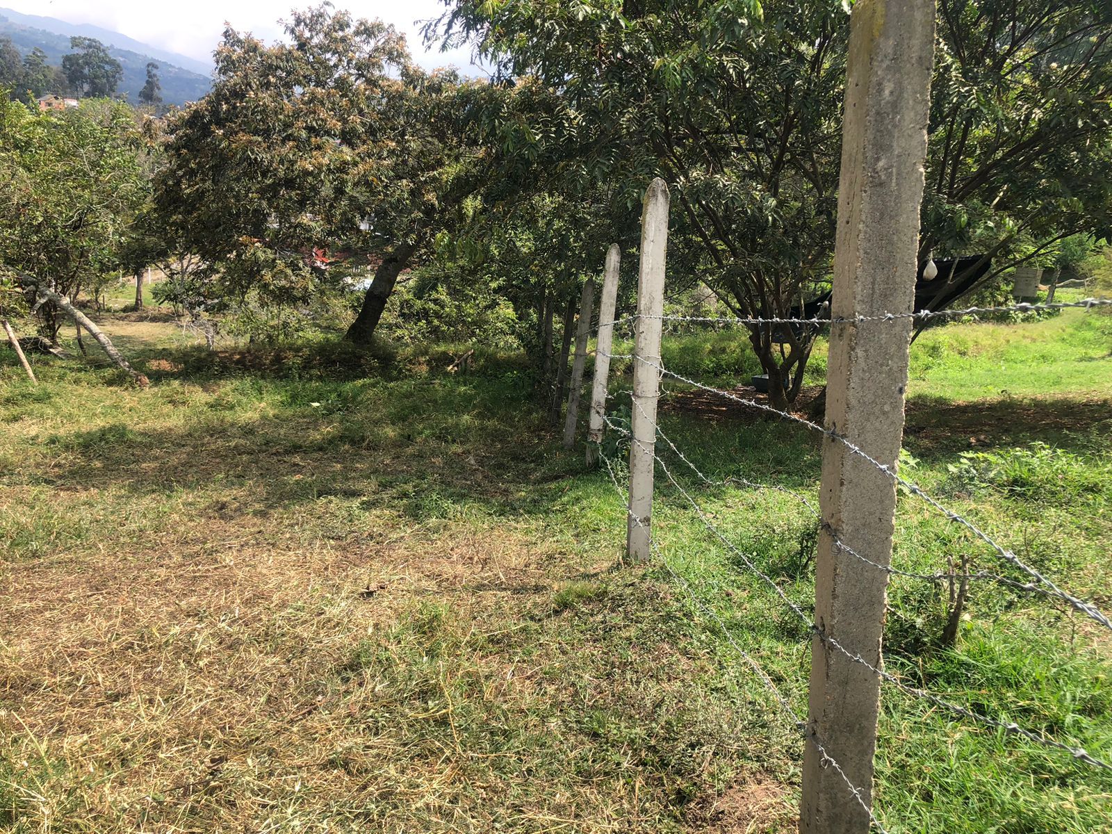 Lote en venta Cundinamarca Fusagasugá Vereda Usatama 3767 m2 Habitaciones 0 Baños 0 Garajes 0 Precio $450000000