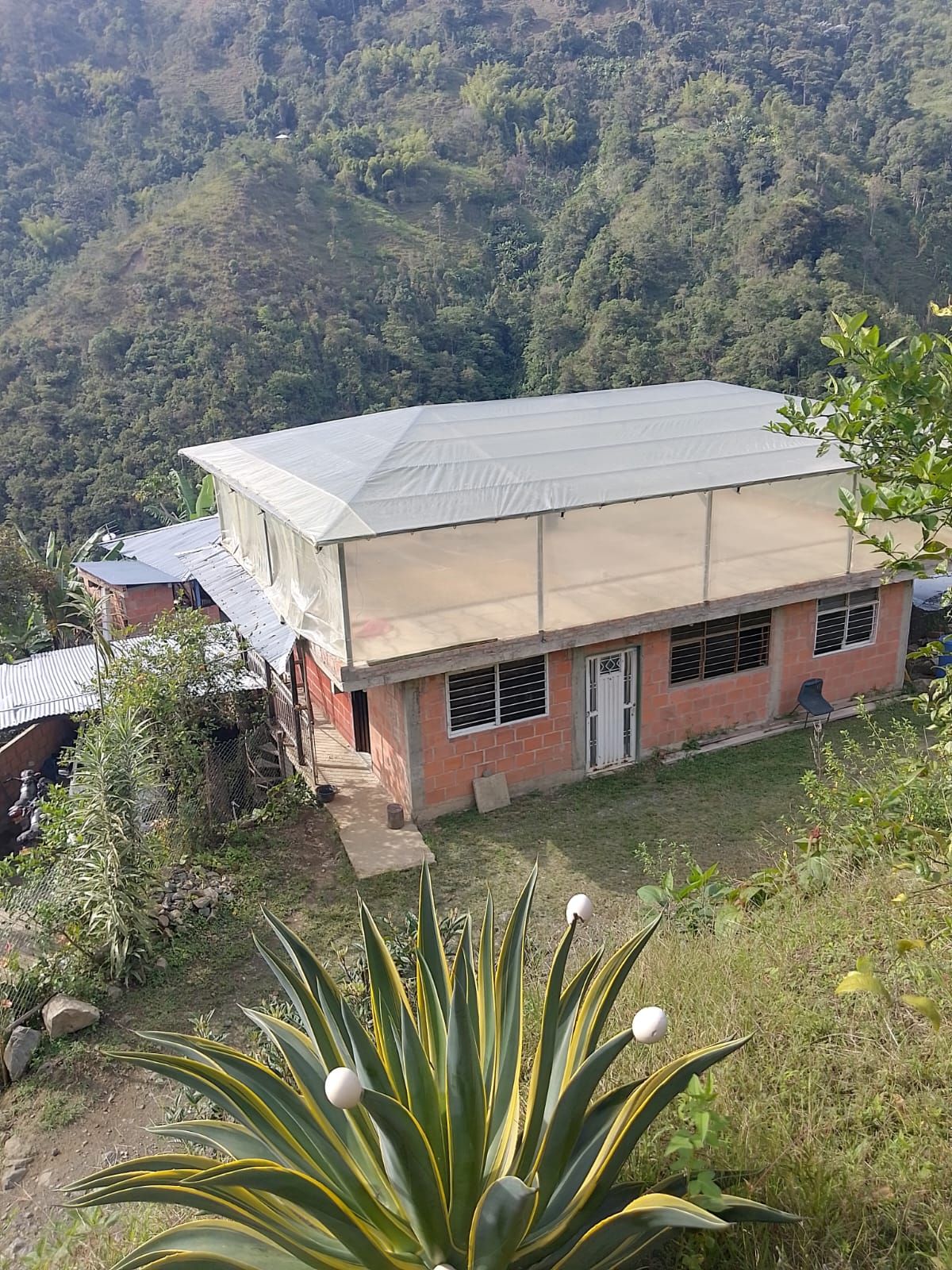 Finca en venta Valle Del Cauca Ginebra Ginebra 200 m2 Habitaciones 5 Baños 2 Garajes 3 Precio $350000000