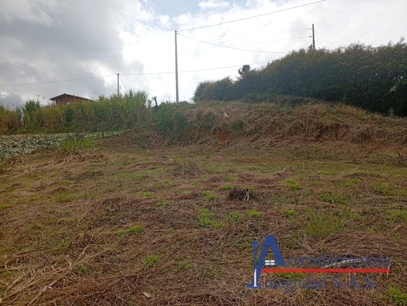Lote en venta Antioquia El Santuario El Santuario 600 m2 Habitaciones 0 Baños 0 Garajes 0 Precio $250000000