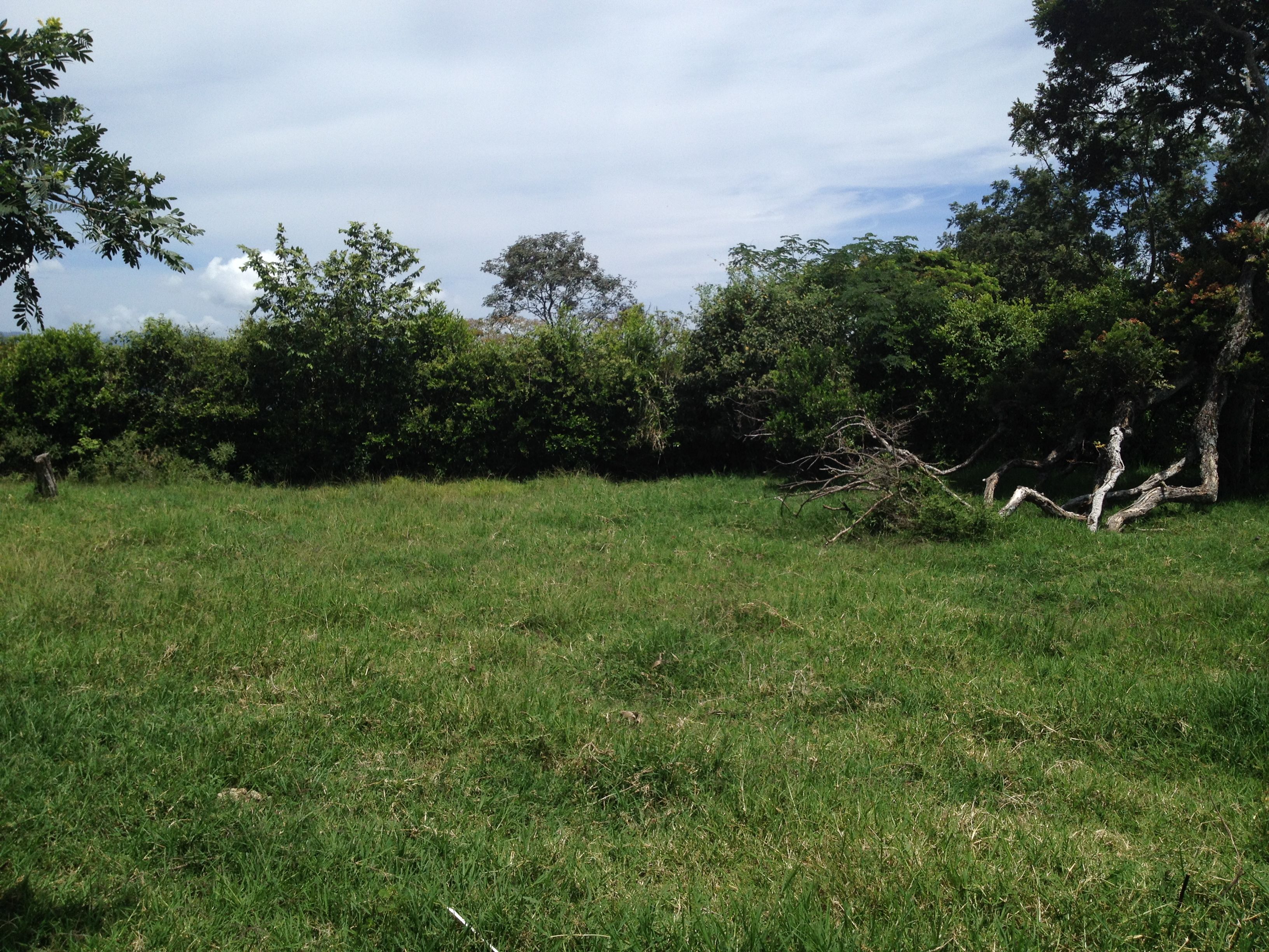 Lote en venta Cundinamarca Fusagasugá Vereda Chinauta 1300 m2 Habitaciones 0 Baños 0 Garajes 0 Precio $280000000