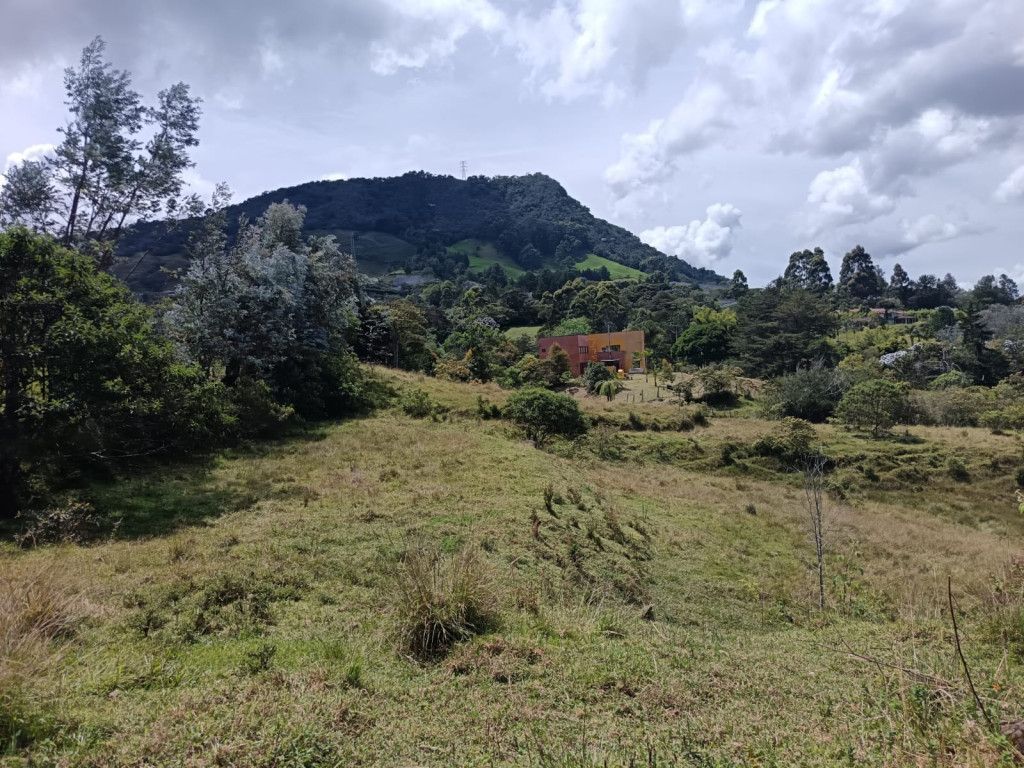 Lote en venta Antioquia La Ceja Centro 0 m2 Habitaciones 0 Baños 0 Garajes 0 Precio $968000000