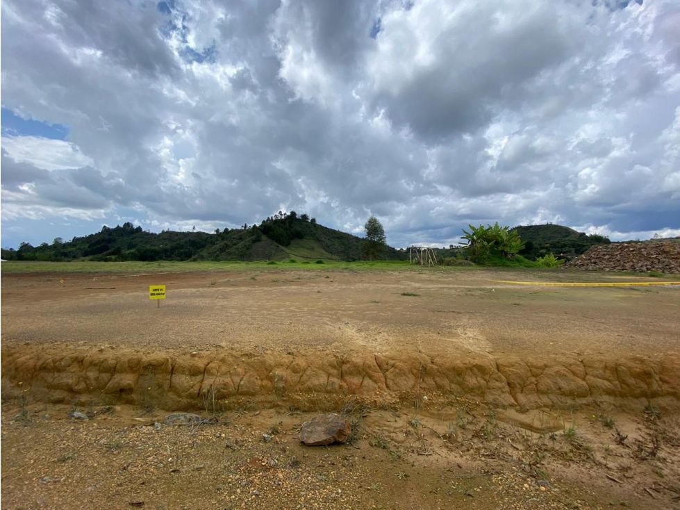 Lote en venta Antioquia Rionegro Rionegro 690 m2 Habitaciones 0 Baños 0 Garajes 0 Precio $230000000