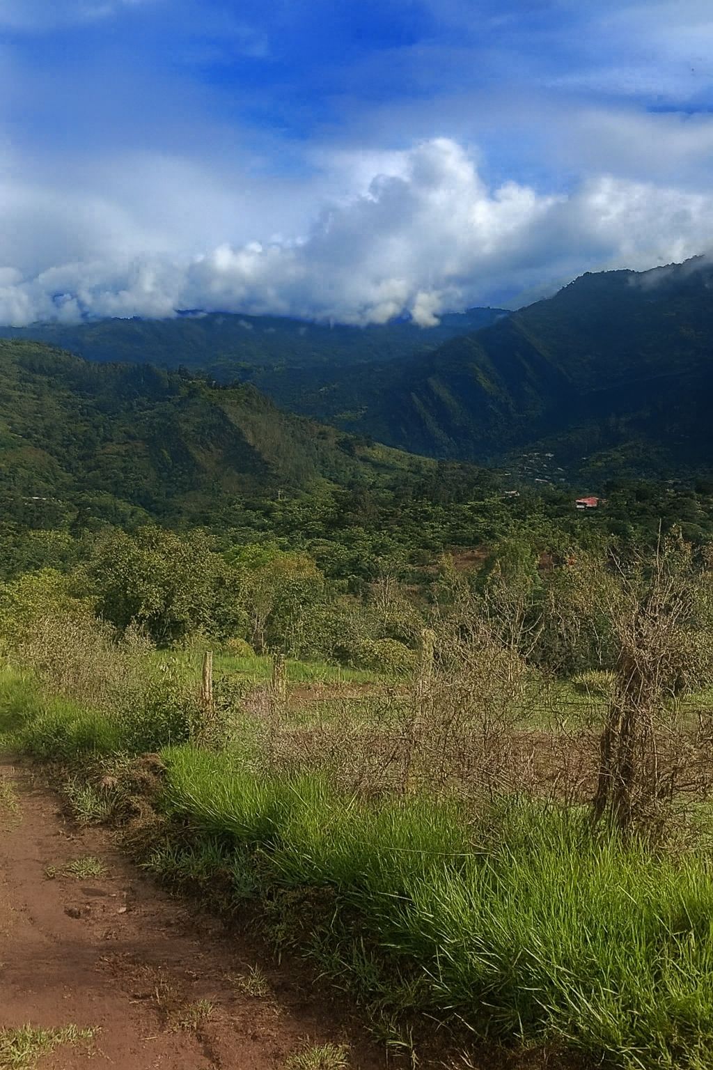 Finca en venta Cundinamarca Tibirita Tibirita 5000 m2 Habitaciones 2 Baños 1 Garajes 1 Precio $260000000