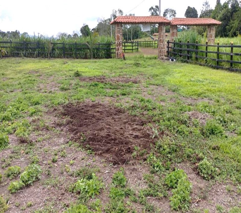 Lote en venta Santander Piedecuesta Piedecuesta 0 m2 Habitaciones 0 Baños 0 Garajes 0 Precio $319000000