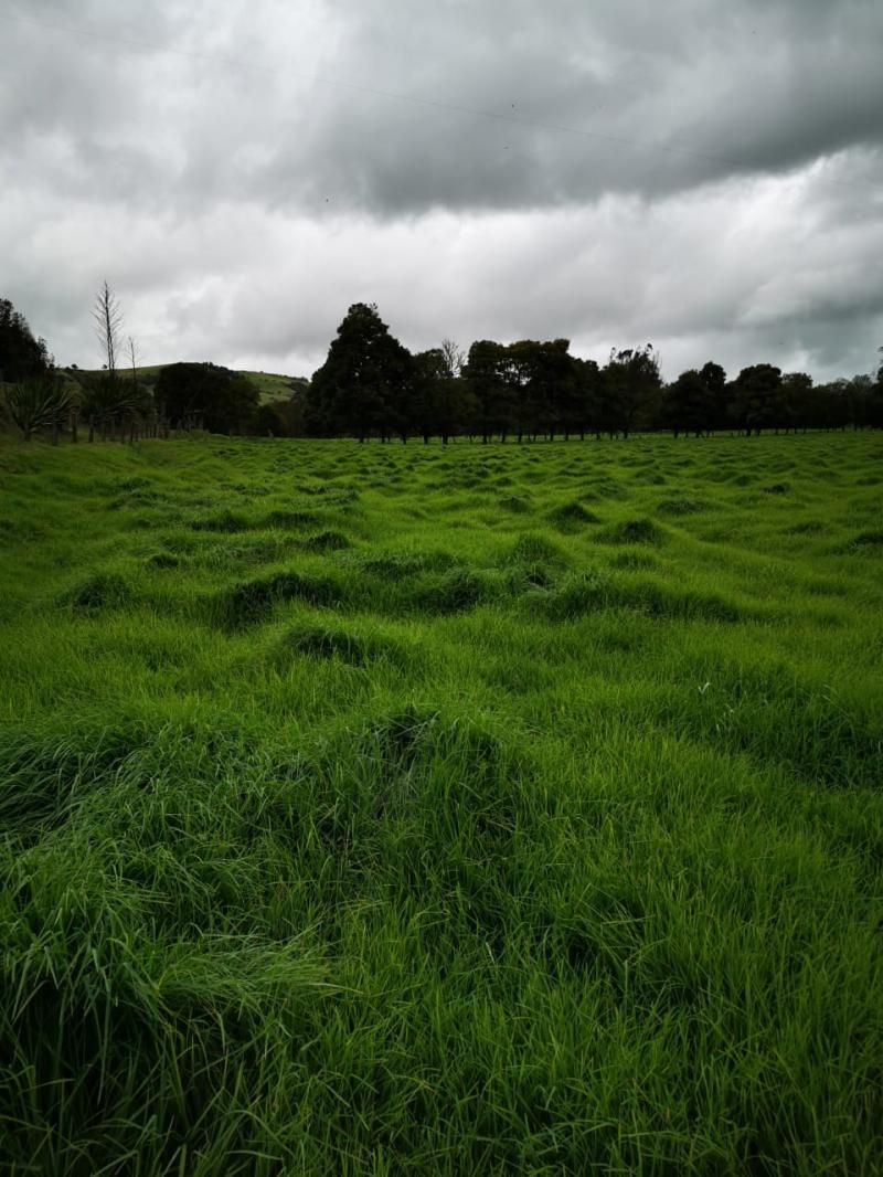 Finca en venta Cundinamarca Mosquera Br Zona Franca De Occidente Et 1 62 m2 Habitaciones 1 Baños 1 Garajes 0 Precio $25000000000