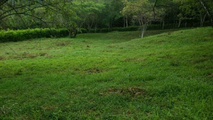 Lote en venta Cundinamarca Anapoima Anapoima 0 m2 Habitaciones 0 Baños 0 Garajes 0 Precio $1250000000