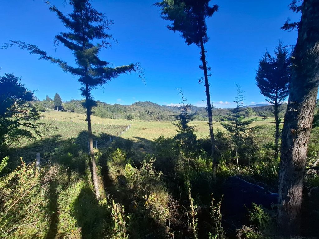 Lote en venta Cundinamarca Simijaca Simijaca 0 m2 Habitaciones 0 Baños 0 Garajes 0 Precio $160000000