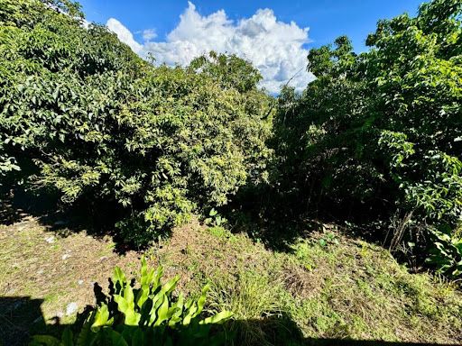 Lote en venta Risaralda Pereira Maraya 340 m2 Habitaciones 0 Baños 0 Garajes 0 Precio $3536000000