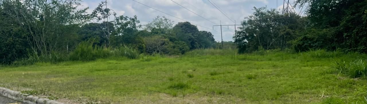 Lote en venta Tolima Ibagué Cr Tejares 10000 m2 Habitaciones 0 Baños 0 Garajes 0 Precio $7000000000