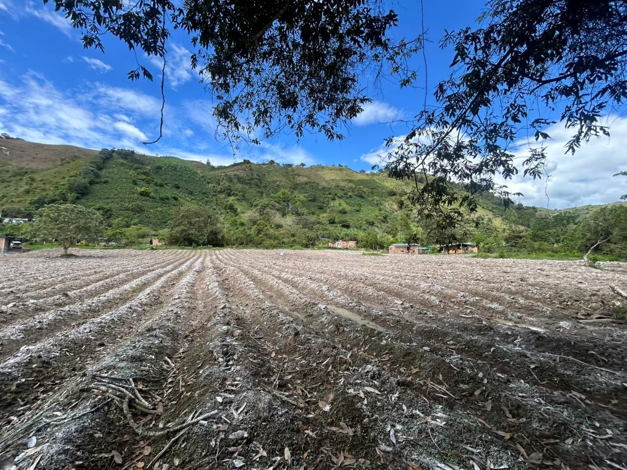 Finca en venta Huila Pitalito Ub La Gaitana 90 m2 Habitaciones 2 Baños 1 Garajes 0 Precio $500000000
