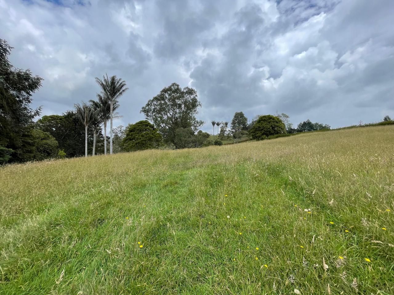 Lote en venta Antioquia Envigado La Mesa 0 m2 Habitaciones 0 Baños 0 Garajes 0 Precio $2900000000