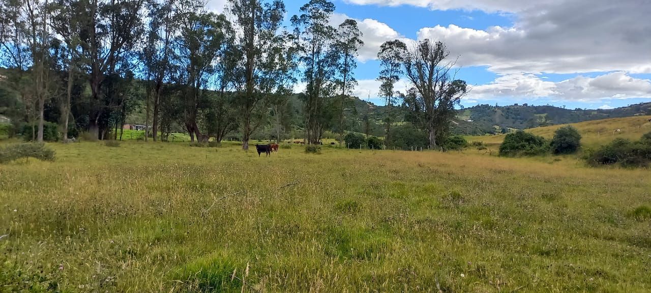 Finca en venta Boyacá Tuta Tuta 10315 m2 Habitaciones 0 Baños 0 Garajes 0 Precio $149000000