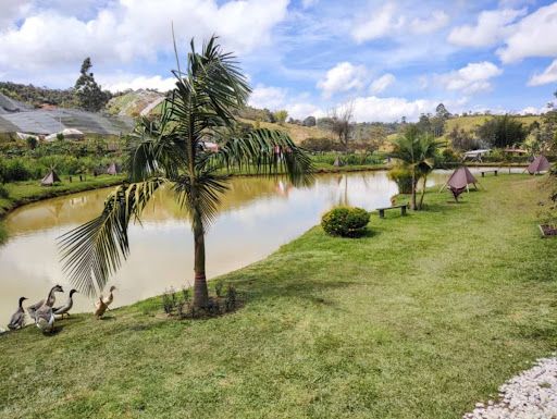 Finca en arriendo Risaralda Santuario Jose Maria Cordova 20 m2 Habitaciones 4 Baños 8 Garajes 20 Precio $12000000