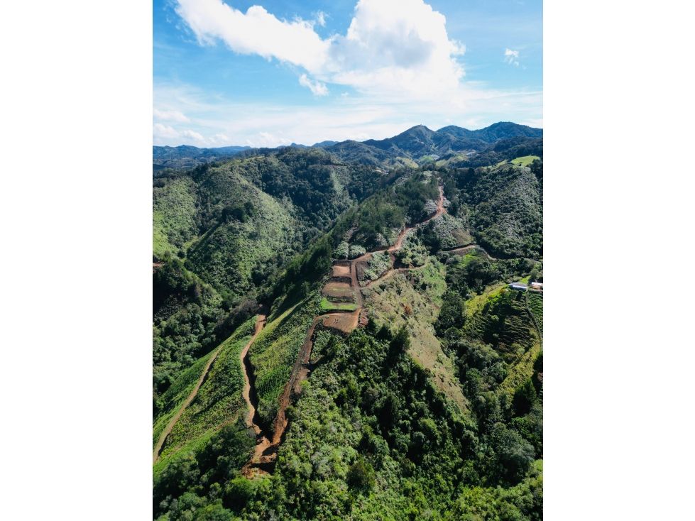 Lote en venta Antioquia El Retiro El Retiro 5000 m2 Habitaciones 0 Baños 0 Garajes 0 Precio $450000000