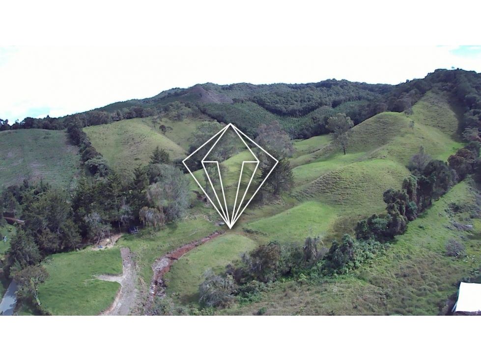 Lote en venta Antioquia Abejorral Abejorral 65000 m2 Habitaciones 0 Baños 0 Garajes 0 Precio $1100000000
