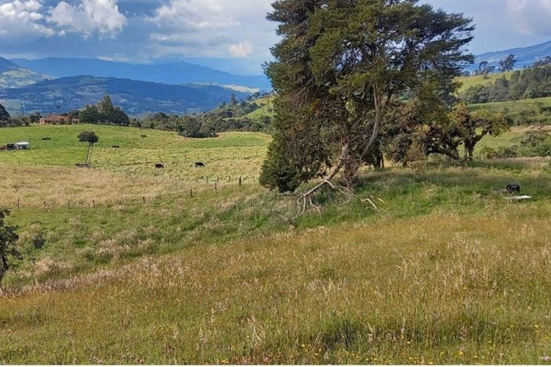 Lote en venta Cundinamarca La Calera La Calera 0 m2 Habitaciones 0 Baños 0 Garajes 0 Precio $550000000