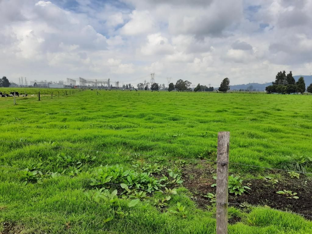 Finca en venta Cundinamarca Tenjo Tenjo 140 m2 Habitaciones 2 Baños 3 Garajes 10 Precio $10878000000