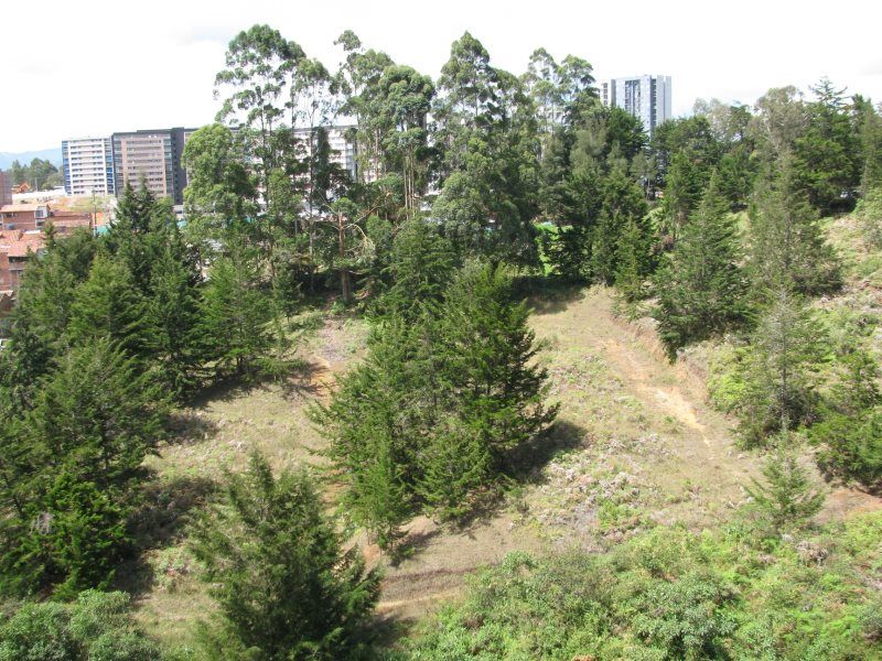 Apartamento en venta Antioquia Rionegro Centro 78 m2 Habitaciones 2 Baños 2 Garajes 0 Precio $450000000