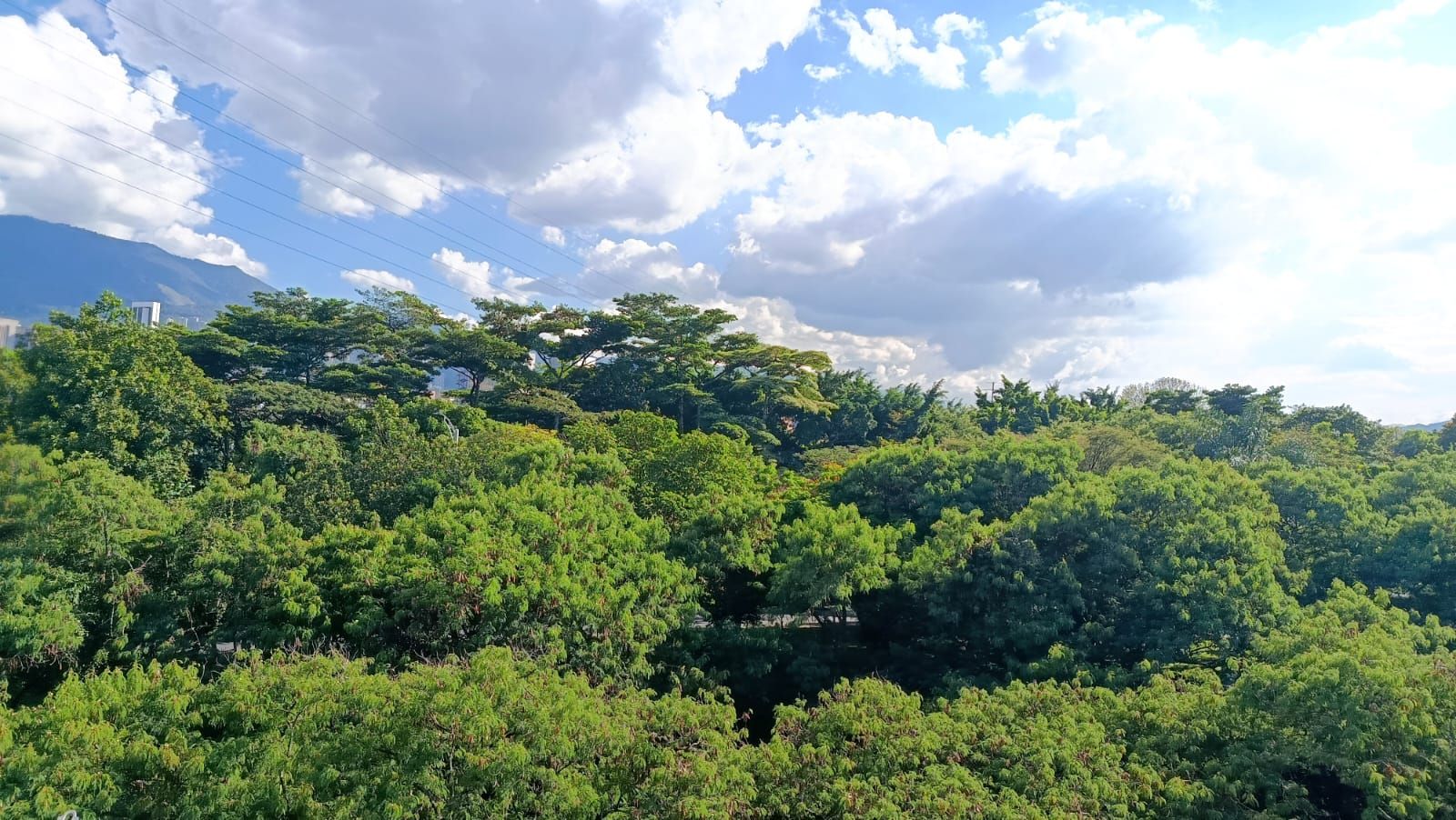 Local en arriendo Antioquia Medellín Universidad Nacional 150 m2 Habitaciones 0 Baños 2 Garajes 0 Precio $3800000