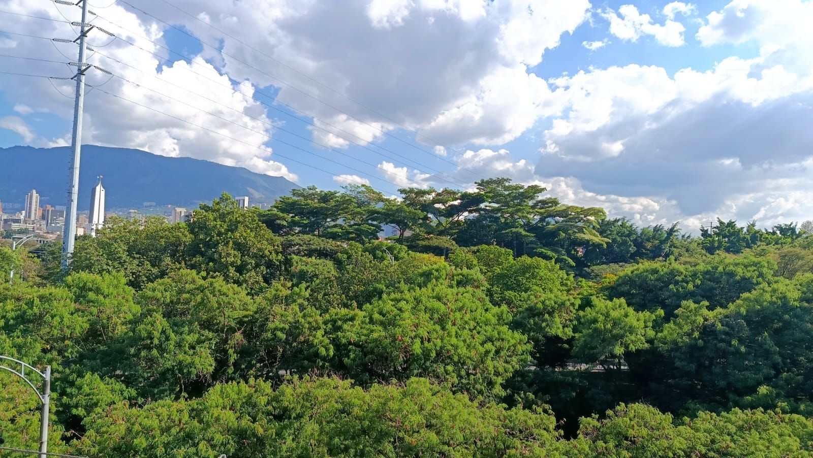 Local en arriendo Antioquia Medellín Universidad Nacional 152 m2 Habitaciones 0 Baños 2 Garajes 0 Precio $3800000