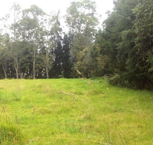 Lote en arriendo Cundinamarca Chía Chia 7395 m2 Habitaciones 0 Baños 0 Garajes 0 Precio $17000000