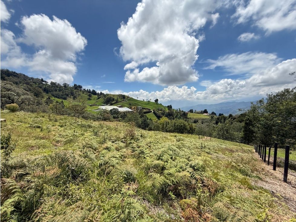 Lote en venta Antioquia Medellín Medellín 3300 m2 Habitaciones 0 Baños 0 Garajes 0 Precio $350000000