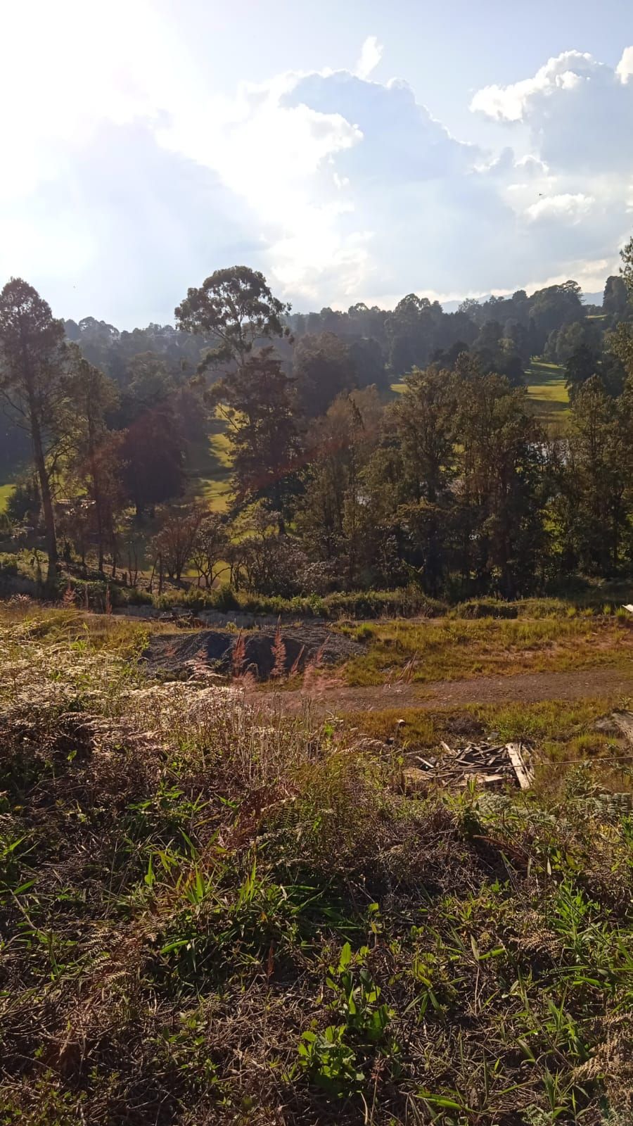 Lote en venta Antioquia Marinilla La Industrial 970 m2 Habitaciones 0 Baños 1 Garajes 0 Precio $520000000